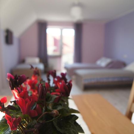 Villa Terra Pruszcz Gdanski ภายนอก รูปภาพ