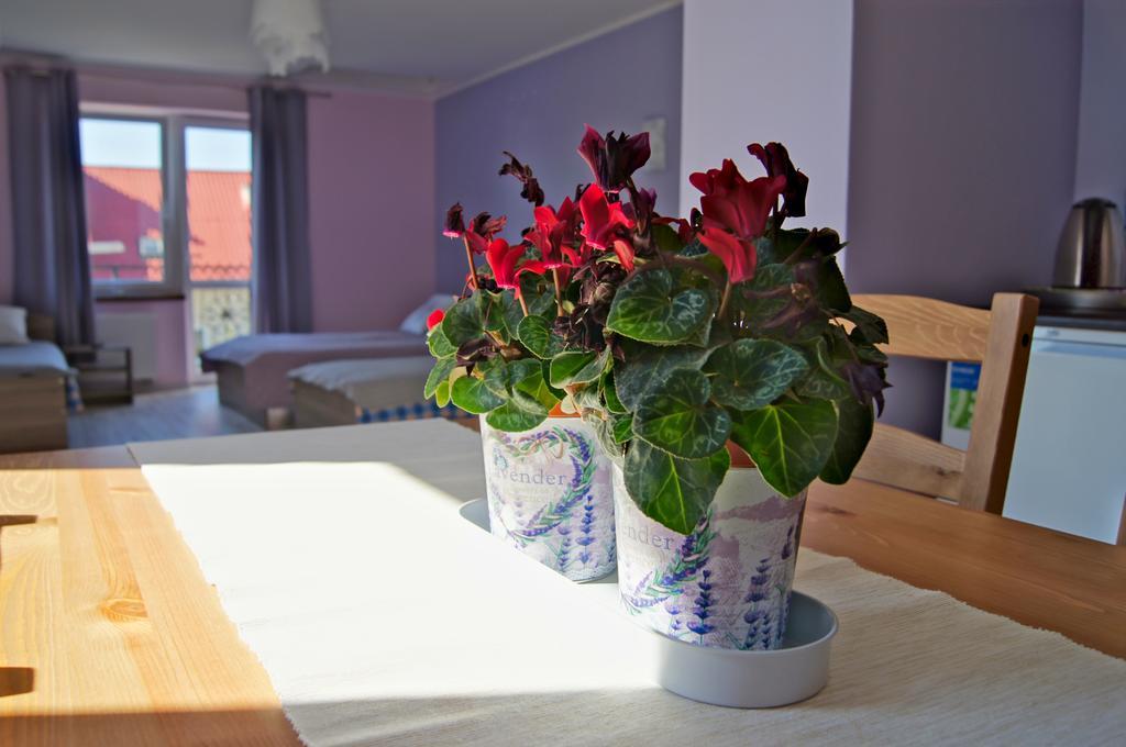 Villa Terra Pruszcz Gdanski ภายนอก รูปภาพ